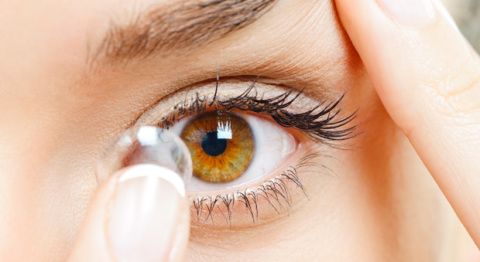 Contact Lenses